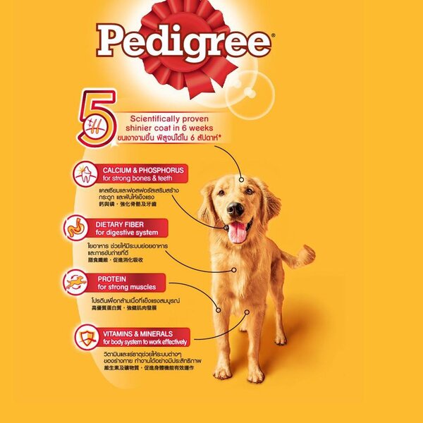 Makanan Anjing Pedigree Chicken 400gr 400 gr gram Kaleng Basah Dogfood