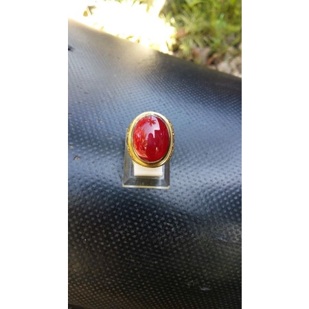 Batu rubah merah banyuwangi