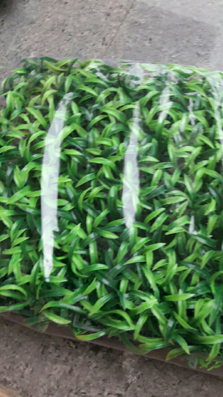Rumput Sintetis Kotak. Rumput Jarum