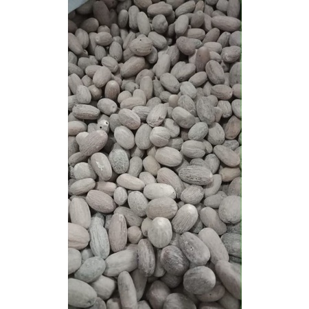 

Pala kupas tanpa kulit dapat 1 kg. Nutmeg Kualitas Ekspor