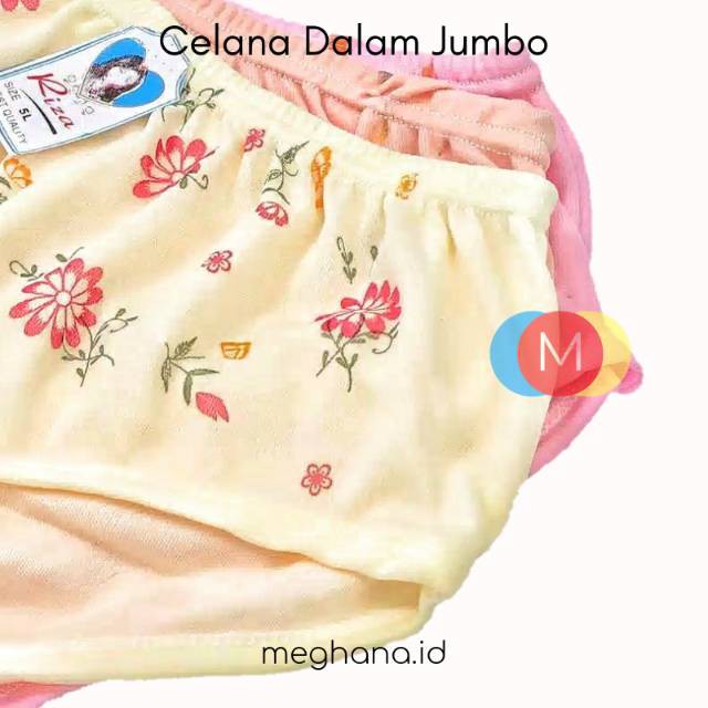 Undies Celana Dalam CD Wanita CD Dewasa Merk Riza Big Size Jumbo Size 5L