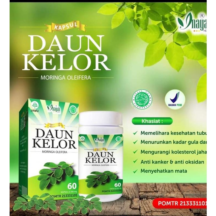 Keloreena Kapsul Daun Kelor Berkualitas Asli Original / Ekstrak Moringa Oleifera BPOM Halal / “DAUN KELOR INAYAH”