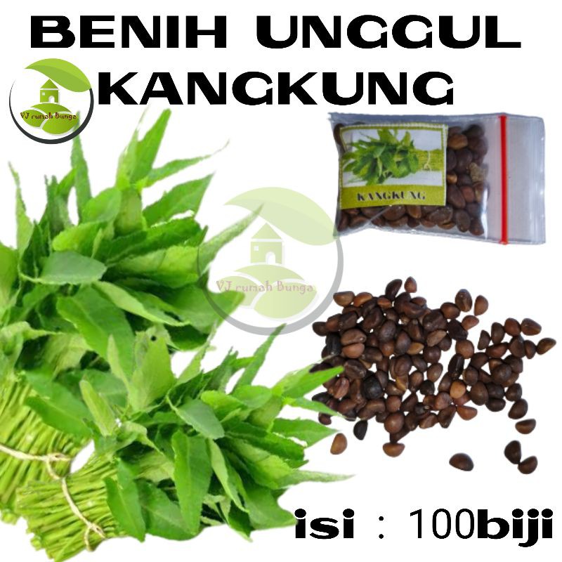 Benih Biji Sayuran Kangkung Mudah tumbuh Benih Unggul Hidroponik