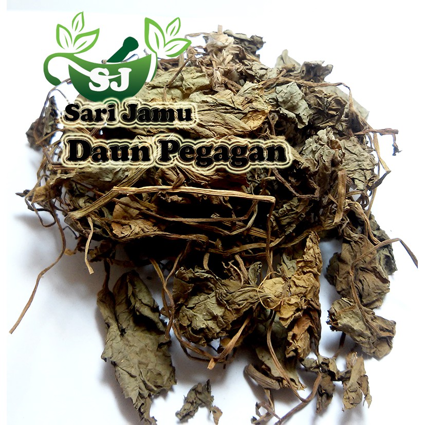 

Jamu Herbal Tradisional Daun Pegagan 100 Gr Untuk Wasir