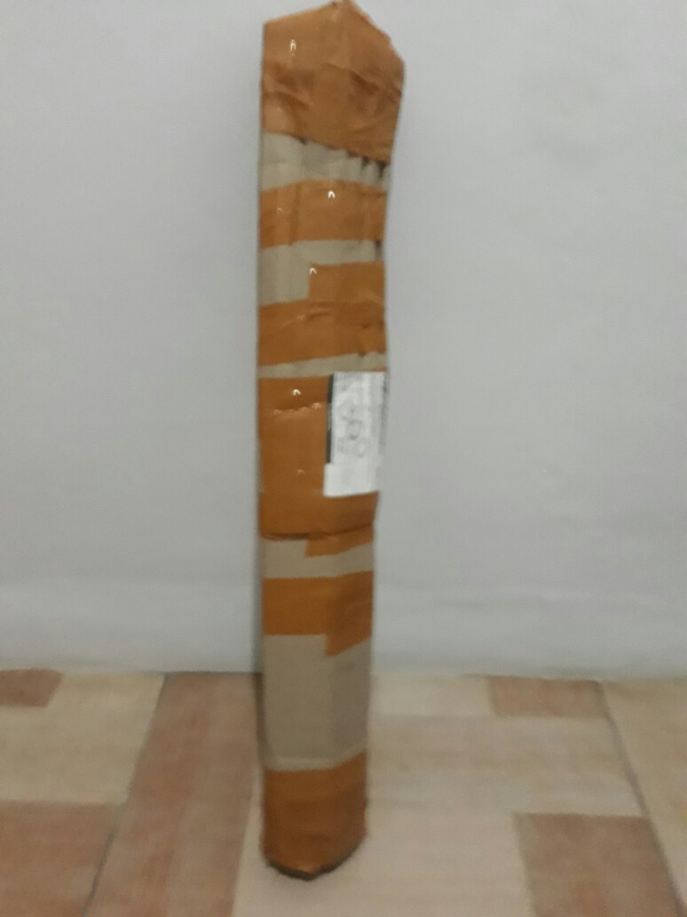 Bibit Durian Musangking