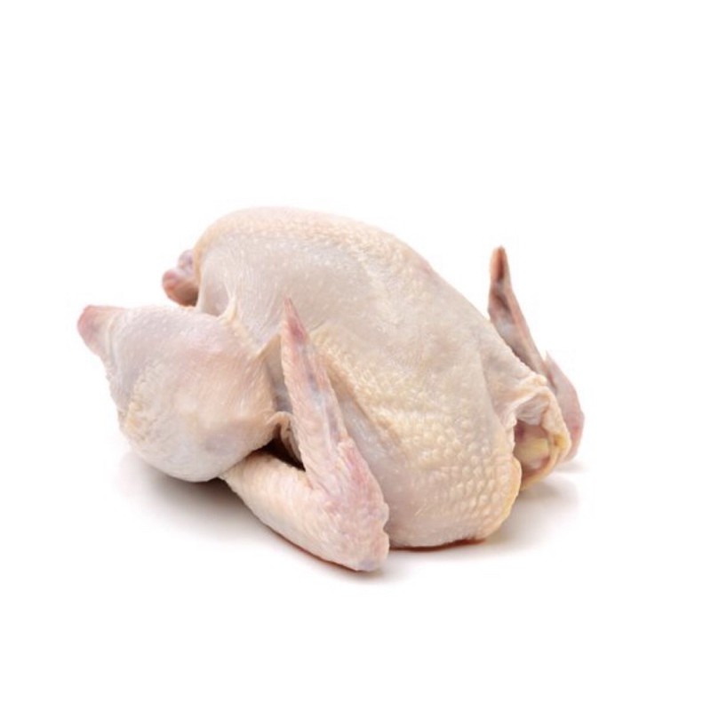 

Ayam Broiler 600-900 Gram