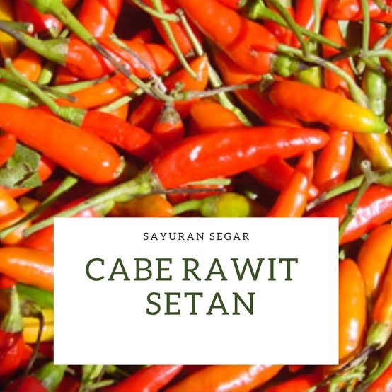 

Cabe Rawit setan extra pedas hot Cabe Setan