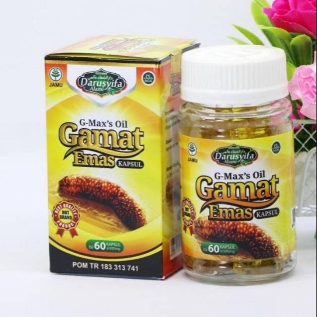 terlaris G-maxs oil gamat emas kapsul