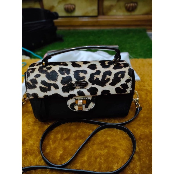 donini leopard