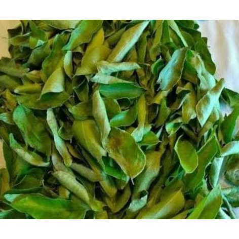 

Jual - Dried Curry Leaves 20 Gr - Daun Kari Kering