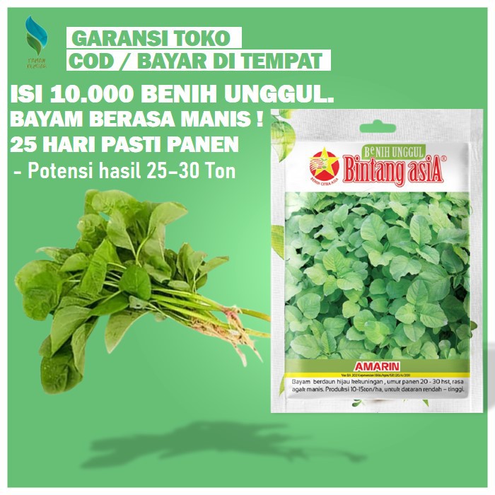 Benih Sayuran Benih Sayur Bayam Bibit Sayuran Benih Tanaman Hidroponik Sayur Bibit Tanaman A1281