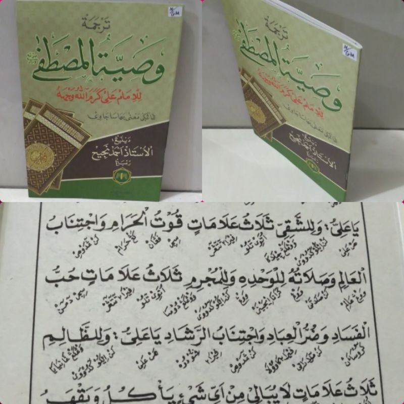 TERJEMAH WASIATUL MUSTOFA Jawa pegon/ Terjemah Jawa Wasiyatul musthofa