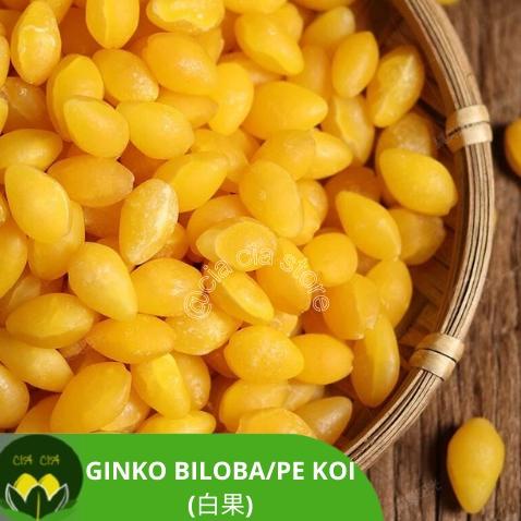 

[PRODUK 7EM] Ginko biloba / ginko nut / pe kea / kupas fresh kering VM0