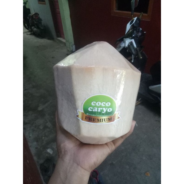 

Kelapa muda PREMIUM
