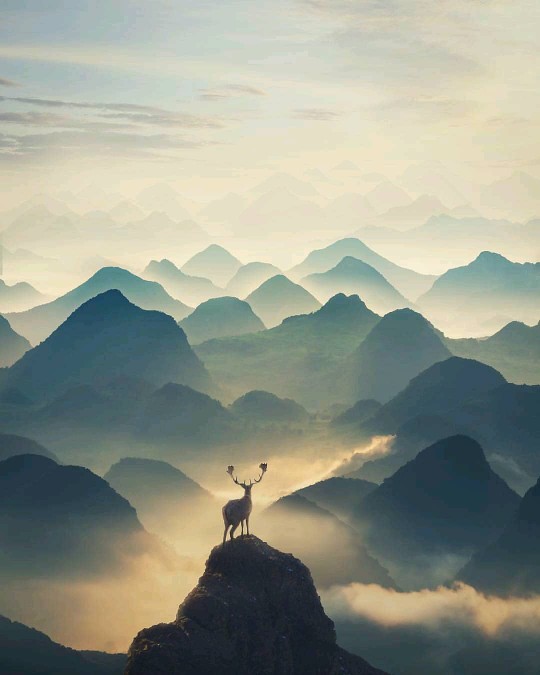 Gembok Pagar / Gembok Pintu 30 L Merk Hunter Murah