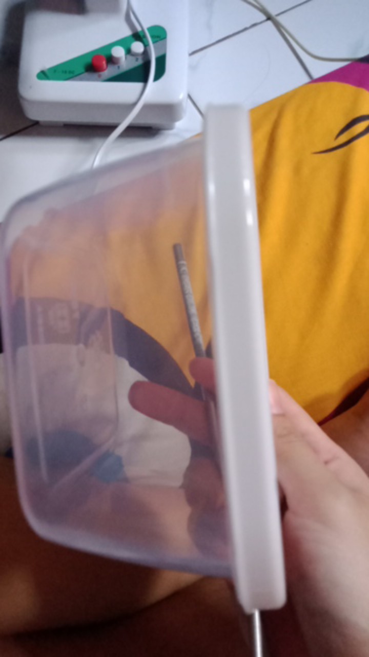 Ecer Frenzy Food Container White