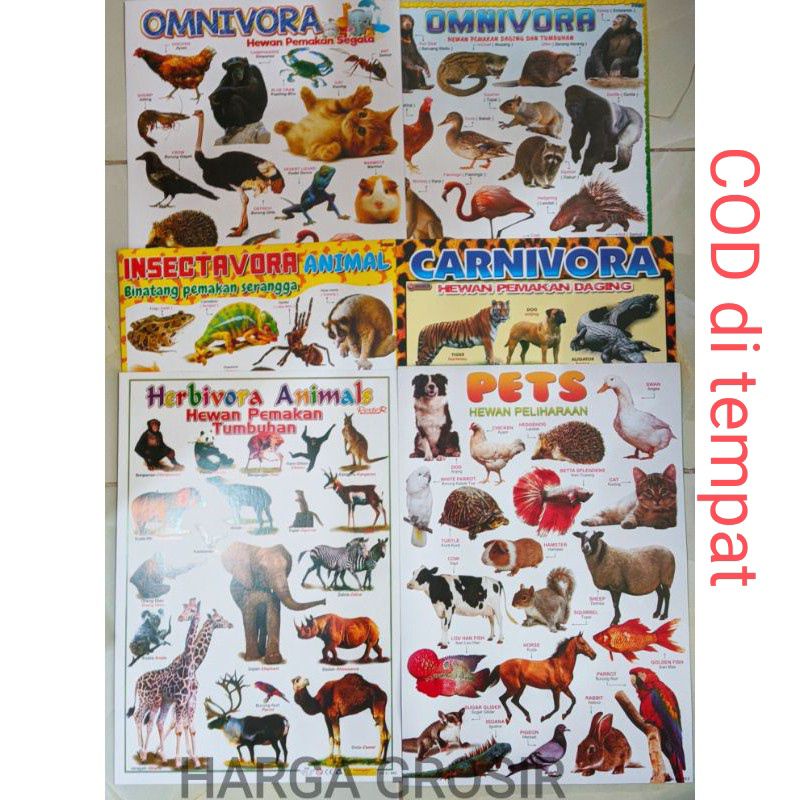 Aneka poster hewan ukuran 50x30