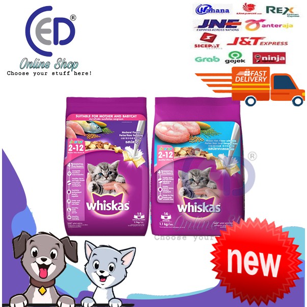 Makanan kucing whiskas junior 1.1kg all varian