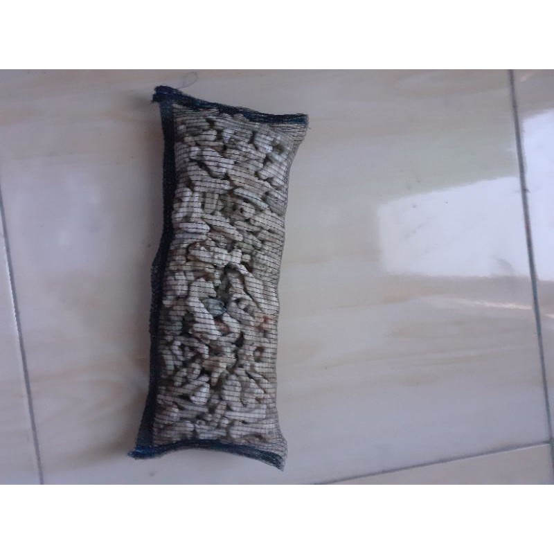 

karang jahe 1kg