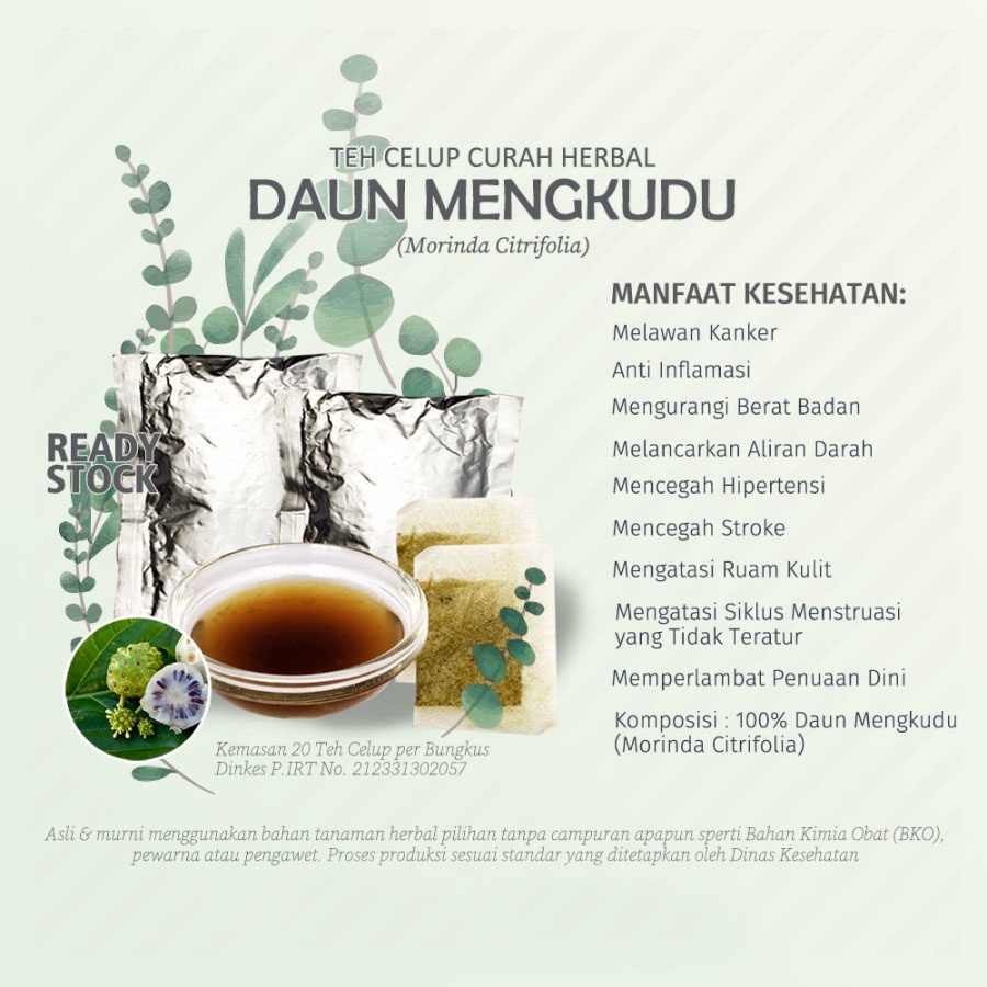 

Teh Celup Herbal Daun Mengkudu Cangkudu Pace Noni Morinda