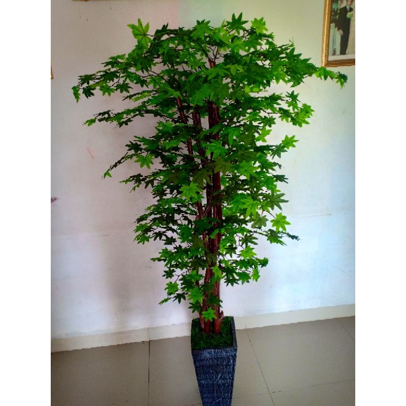 pohon maple jepang dekorasi artificial