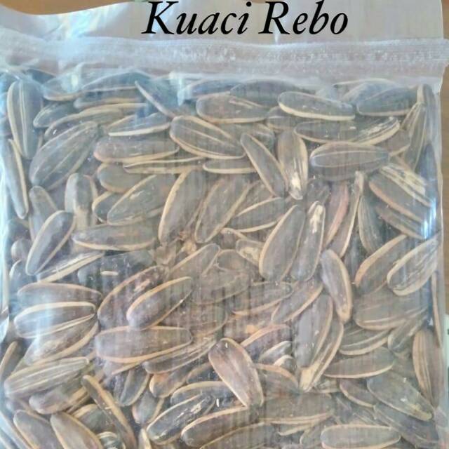 

Kuaci rebo