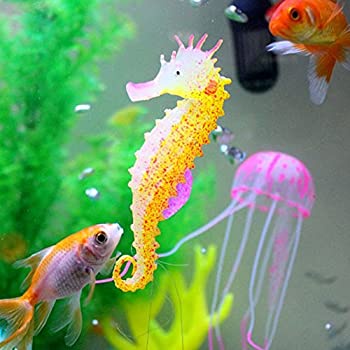 Jual Hiasan Aquarium Kuda Laut, Dekorasi Aquarium Kuda Laut, Kuda Laut ...