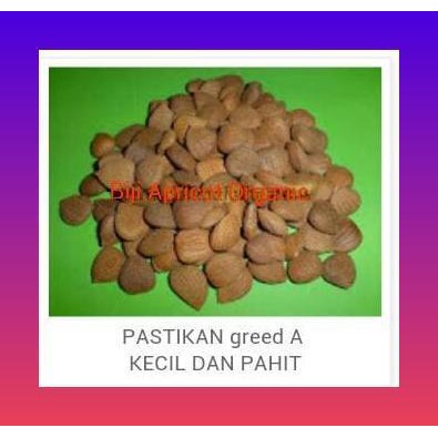 BIJI APRIKOT PAHIT ORGANIK / BITTER APRICOT KERNEL ORGANIC HUNZA
