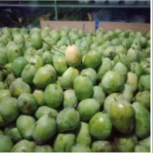 

Mangga cengjkir