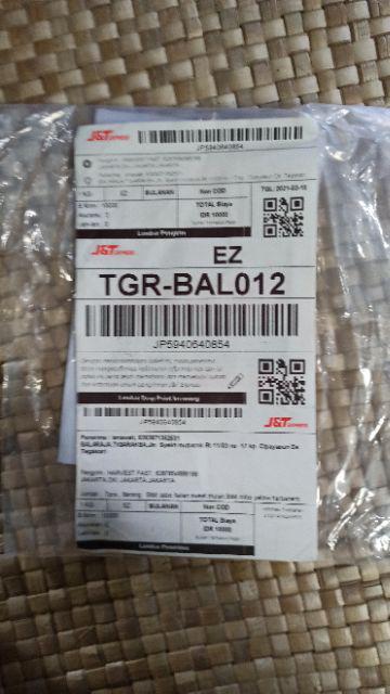 Bibit Cabe Hias Lima Ribuan