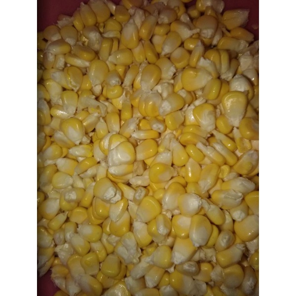 

jagung manis pipil 500 gr