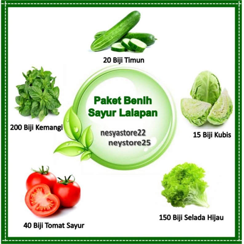 Paket Benih Bibit Sayur Lalapan Benih Timun Kubis Selada Hijau Tomat Kemangi