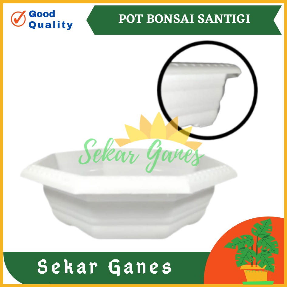 Pot Bonsai Santigi 30 Putih Bonsai Segi 8 By Garden Of Love Pot Bonsai Plastik Kotak Ceper Kelapa