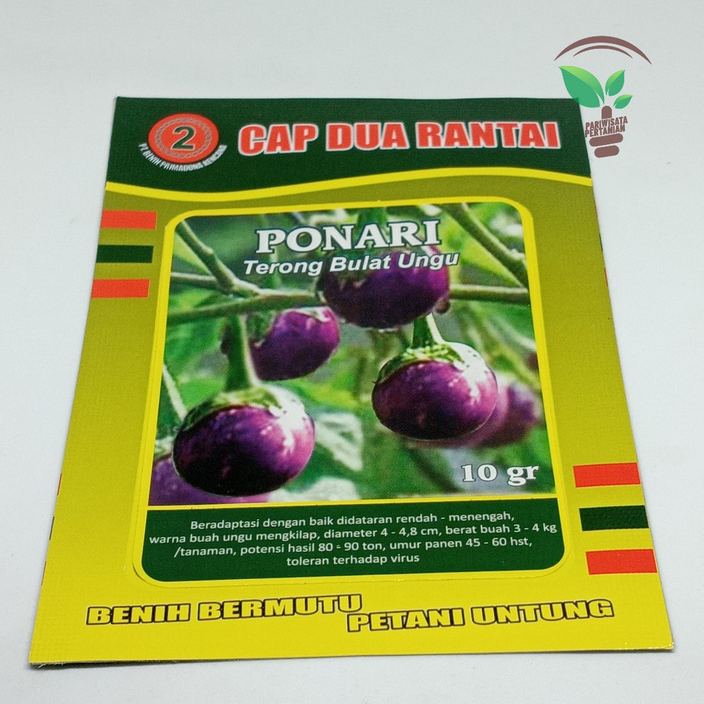 Benih Bibit Terong Lalap PONARI [ benih terong lalap ] bibit terong lalap ] terong UNGU bulat