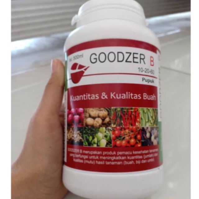 

Goodzer B 500gram