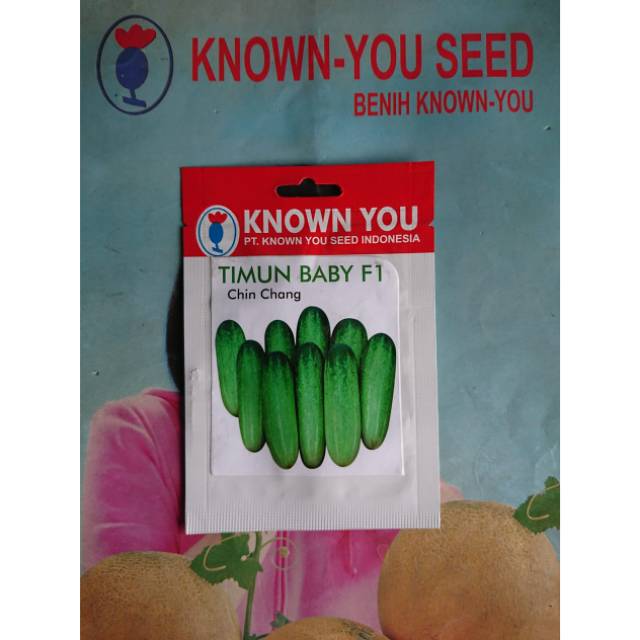 Benih Biji Timun Baby CHIN CHANG F1 Sp