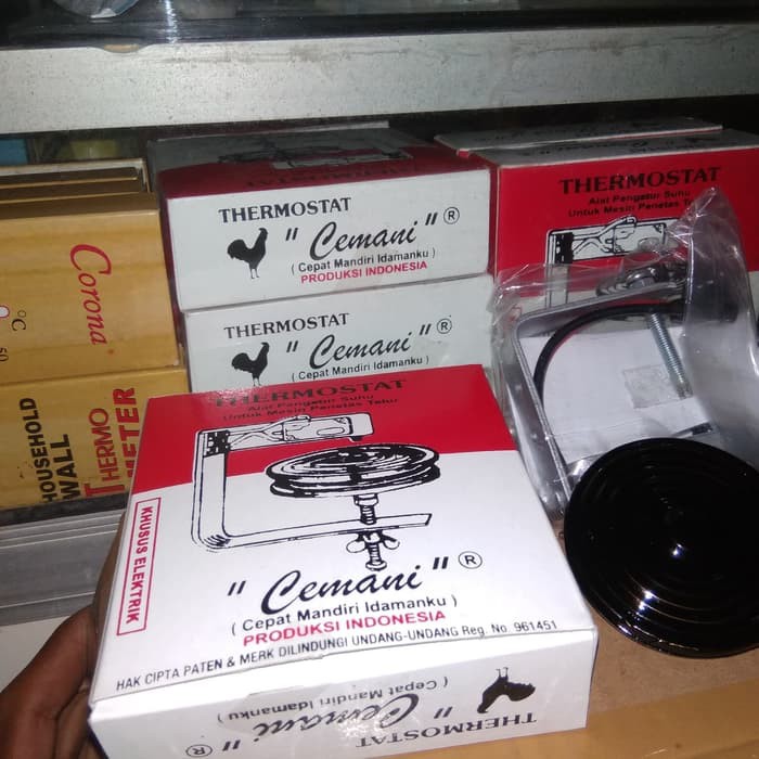 Termostat Thermostat kapsul cemani bukan digital