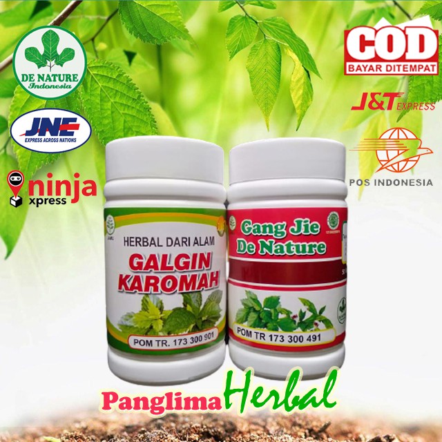 

Original Galgin Gangjie HERBAL panglimaherbal de nature
