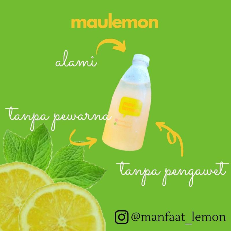 

maulemon
