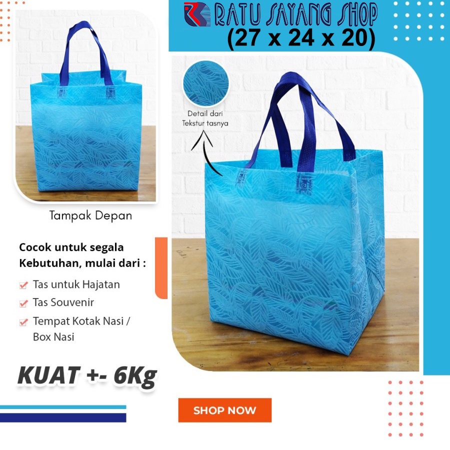 

TAS SPUNBOND KOTAK NASI| TAS HAJATAN TEXSTUR MODEL SEMINAR (27X24X20)