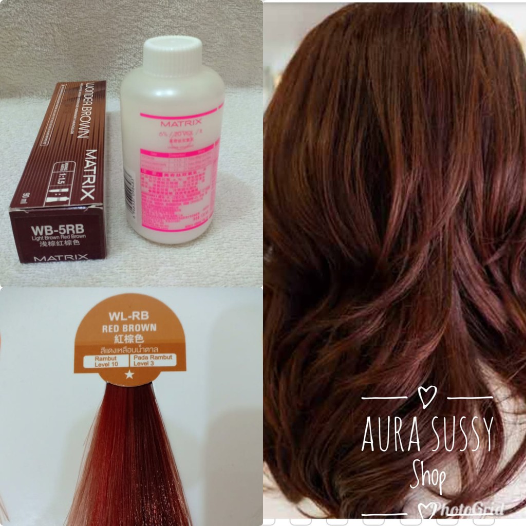  Cat  Rambut  Warna Red Brown toxoplasmosis