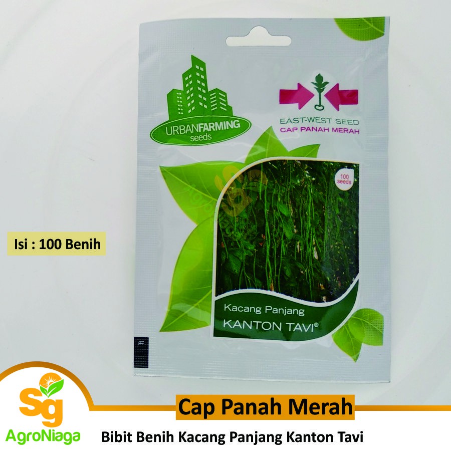 Bibit Benih Kacang Panjang Kanton Tavi Cap Panah Merah