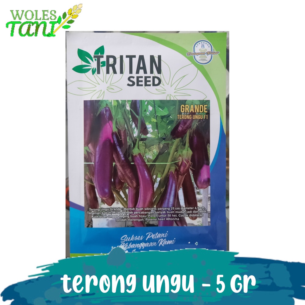 Benih Terong Ungu Grande 5 Gram Pengganti Terong Antaboga