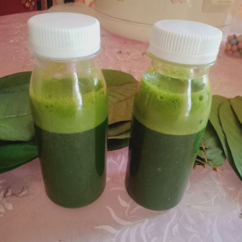 Diolah Manual/Tradisional Salep Kulit Daun Ketepeng  Murni dan Alami