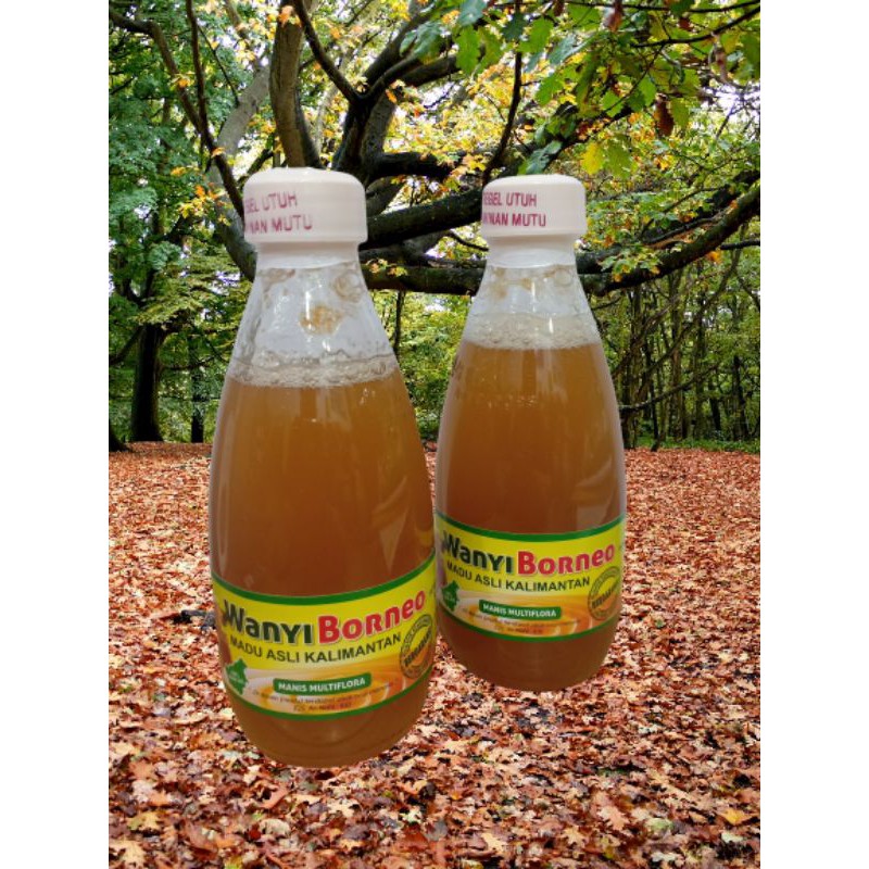 

Madu Wanyi Borneo Madu Asli Kalimantan 240ml