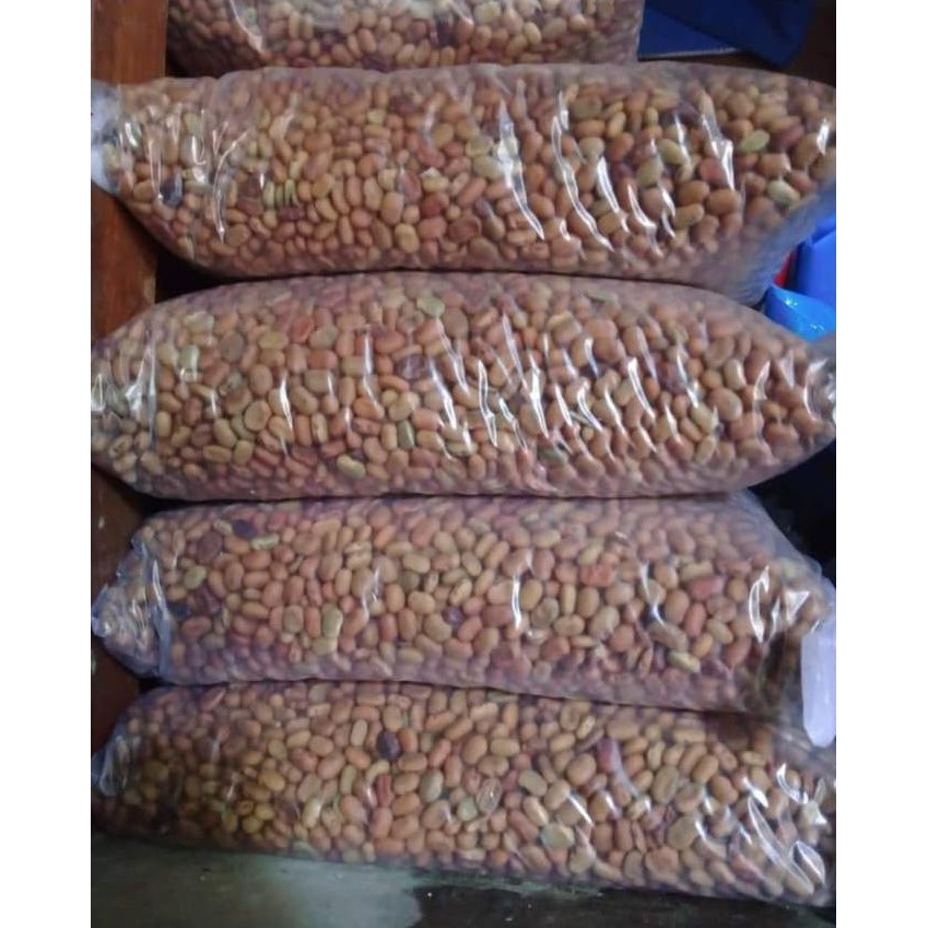 Bibit Buah 1 Kg Benih Biji Bunga Turi Kembang Turi