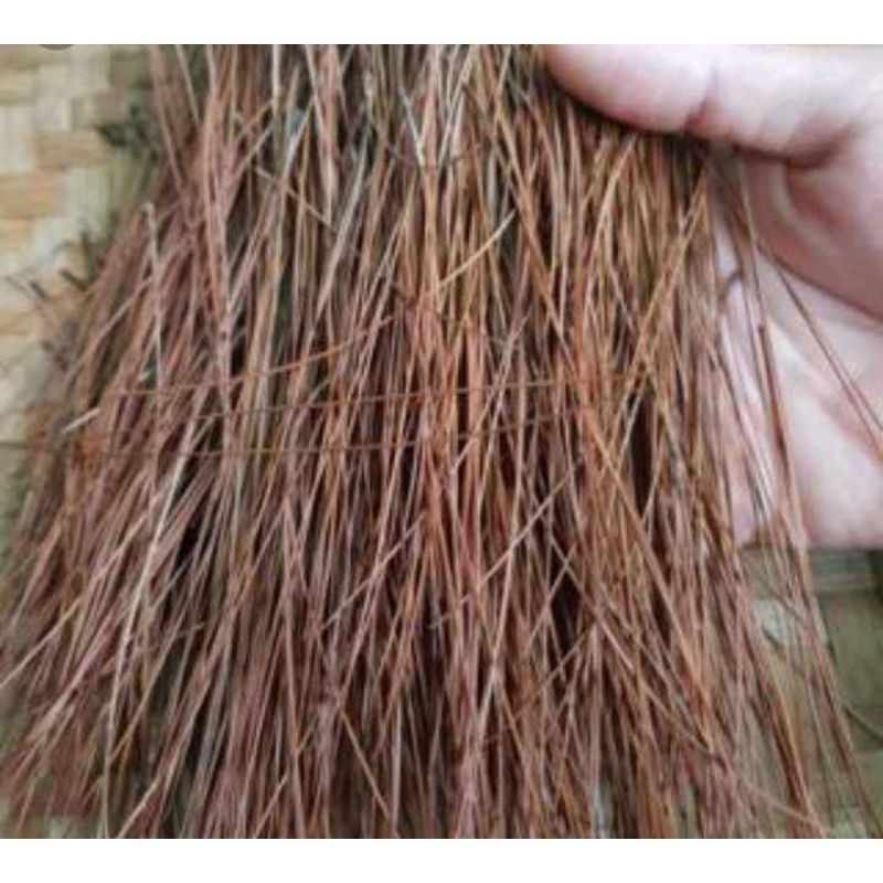 

Jual daun pinus kering 500grm