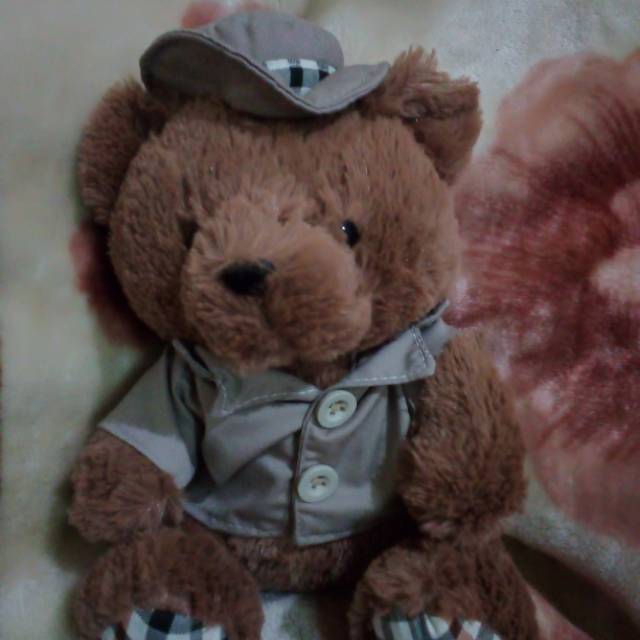 Boneka beruang bos lucu . Shopee Indonesia