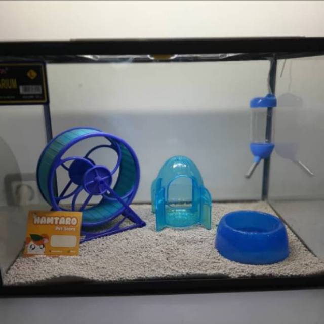 Kandang Hamster Terarium besar fullset ukuran Large