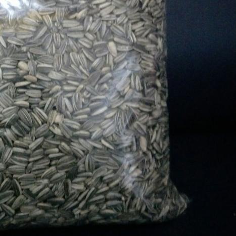 kuaci 1kg/kuaci pakan burung/kuaci burung/kuaci makanan burung - kecil